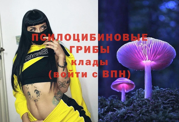 бутират Кинешма