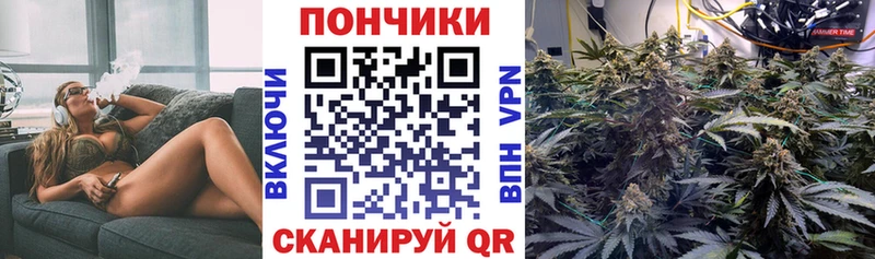 Бошки Шишки OG Kush  Купить закладки  Бузулук 